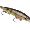 Strike King KVD 300D Series 4 1/2 Inch Deep Diving Jerkbait