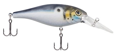 Berkley Bad Shad Medium Diving Crankbait - Image 4