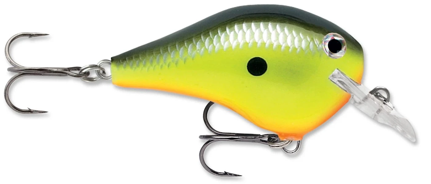 Rapala DT Fat 03 Shallow Square Bill Crankbait - Image 2