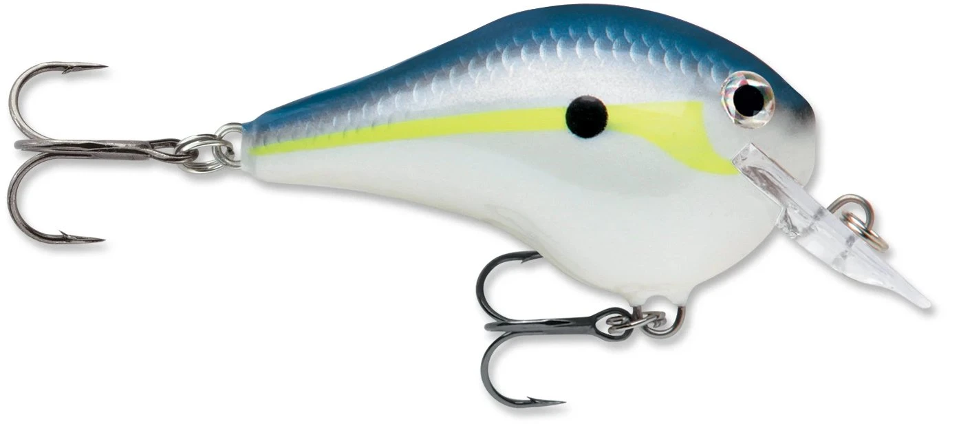 Rapala DT Fat 03 Shallow Square Bill Crankbait - Image 4