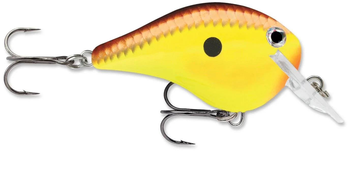 Rapala DT Fat 03 Shallow Square Bill Crankbait - Image 5