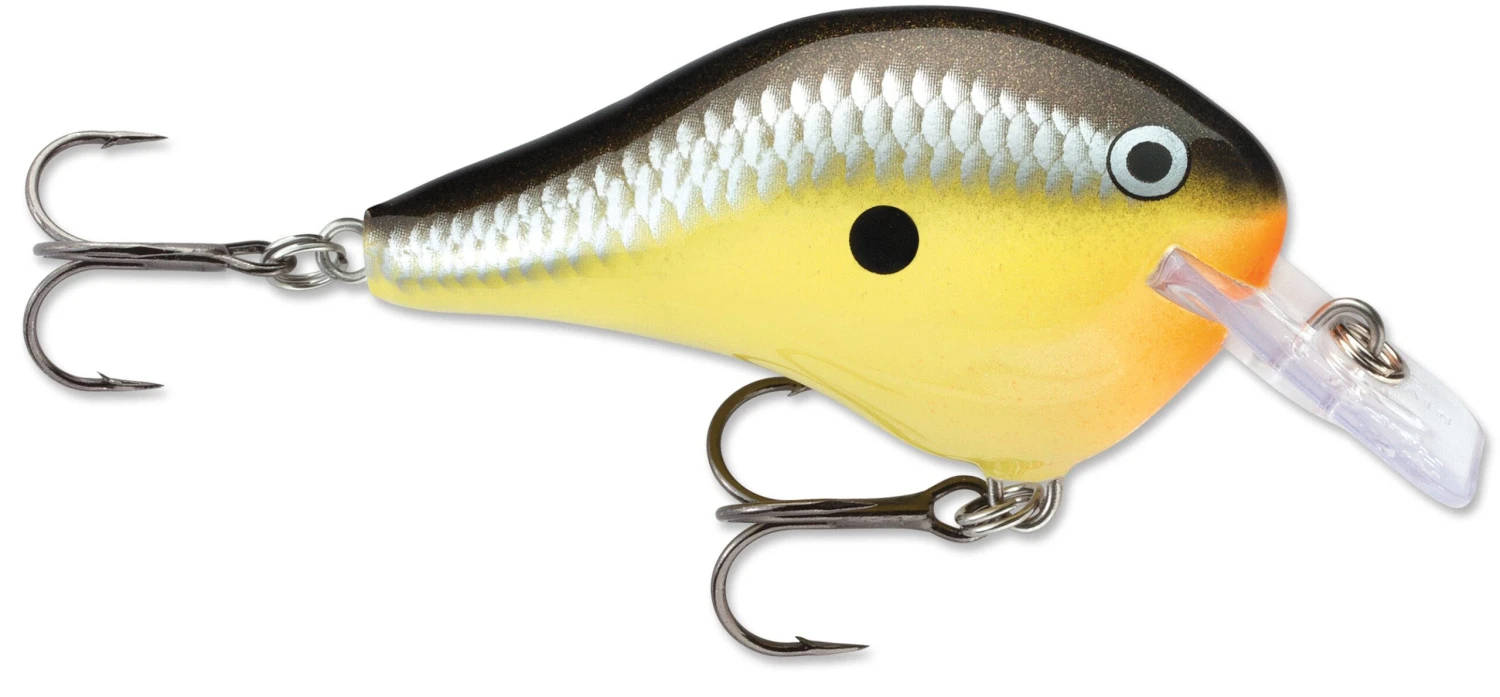 Rapala DT Fat 03 Shallow Square Bill Crankbait - Image 6