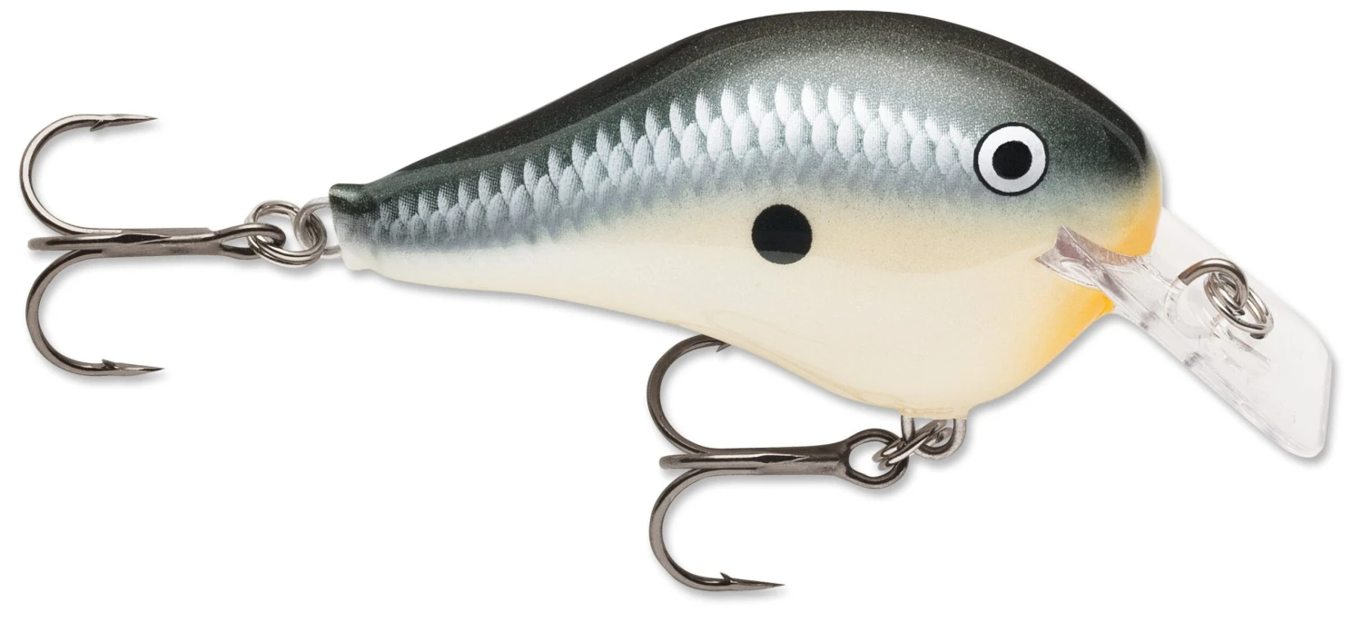 Rapala DT Fat 03 Shallow Square Bill Crankbait - Image 7