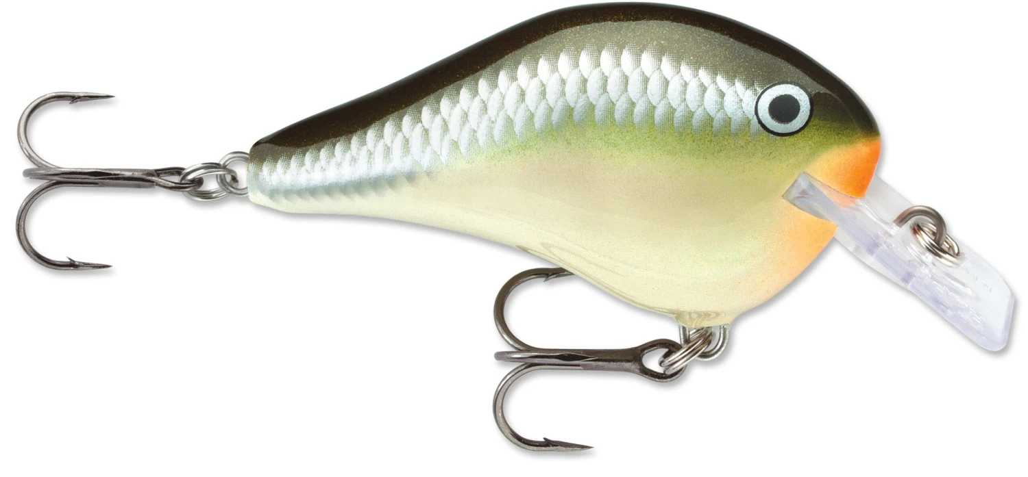 Rapala DT Fat 03 Shallow Square Bill Crankbait - Image 8