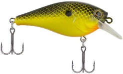 Berkley SquareBull 2 3/4 Inch Shallow Squarebill Crankbait