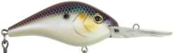 Berkley Dredger Deep Diving Crankbait Deeper Diving Models