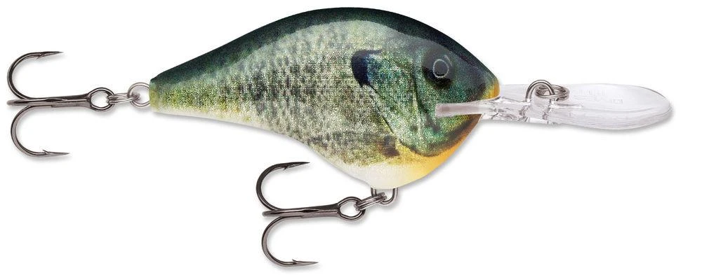 Rapala DT Series Crankbait DT16 - Image 20