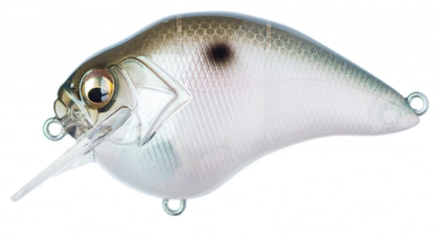 Megabass S Crank 1.2 Shallow Squarebill Crankbait - Image 4