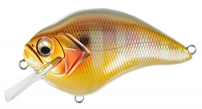Megabass S Crank 1.2 Shallow Squarebill Crankbait - Image 6